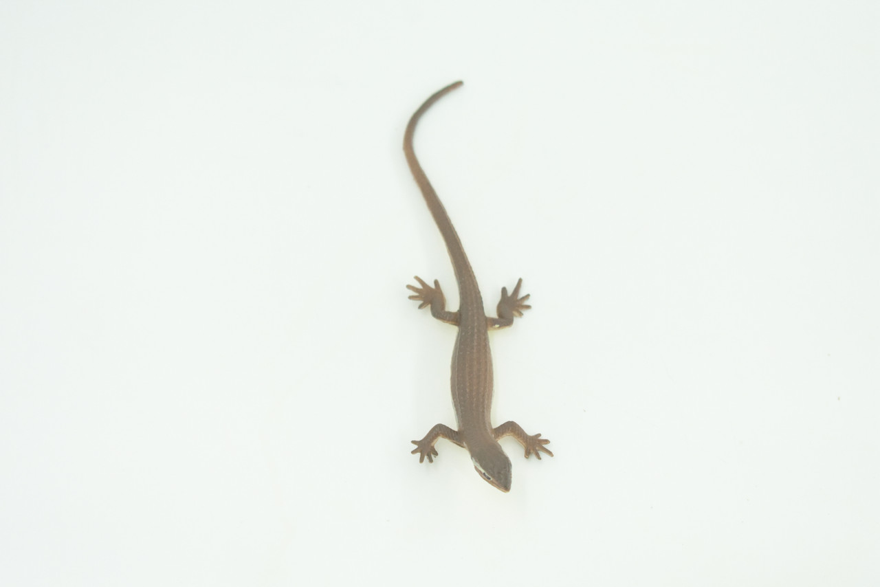 Common Grass Lizard, Educational, Hand Painted, Rubber Reptile, Museum Quality, Diorama, Toy, Kids, Gift,  4 Inches.  CH744 BB184 