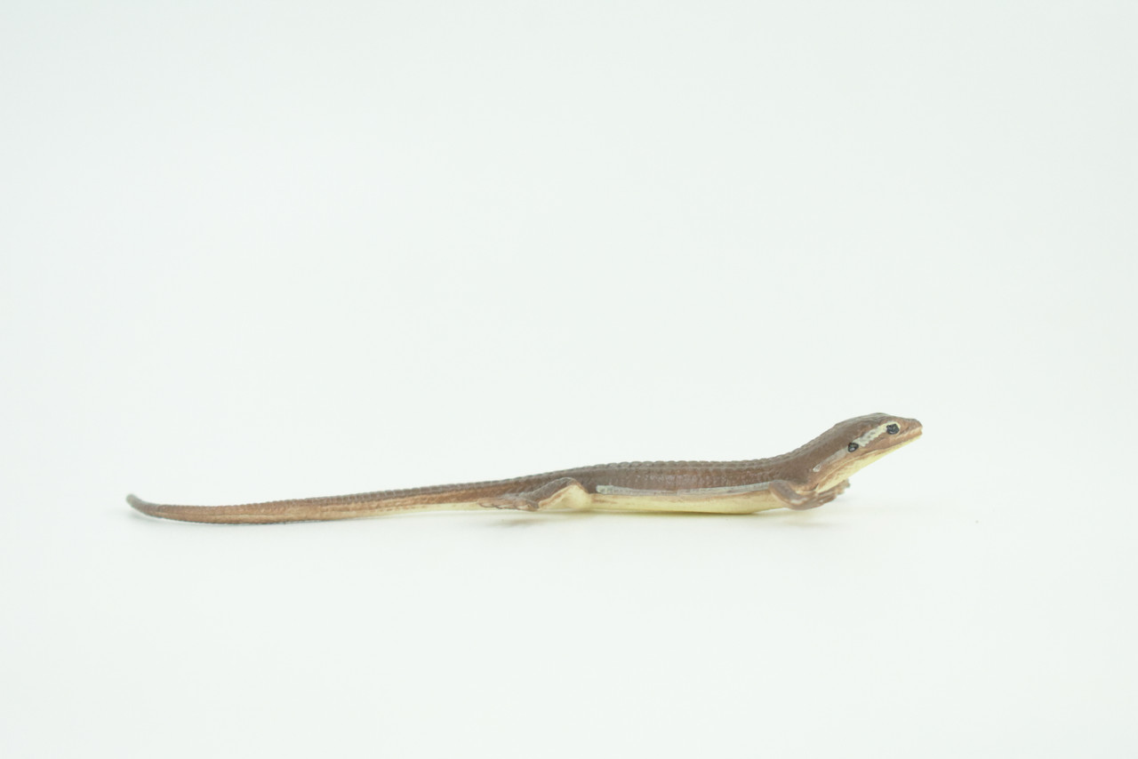 Common Grass Lizard, Educational, Hand Painted, Rubber Reptile, Museum Quality, Diorama, Toy, Kids, Gift,  4 Inches.  CH744 BB184 