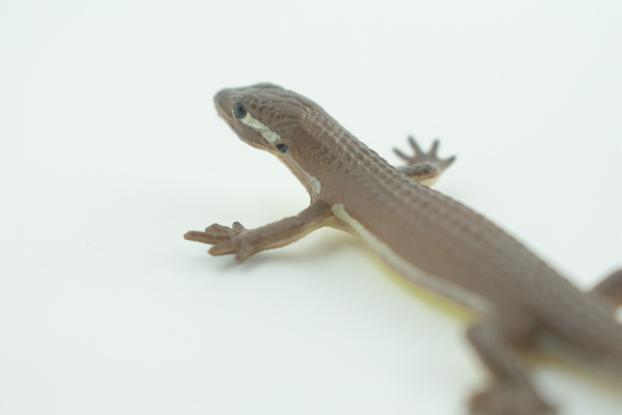 Common Grass Lizard, Educational, Hand Painted, Rubber Reptile, Museum Quality, Diorama, Toy, Kids, Gift,  4 Inches.  CH744 BB184 