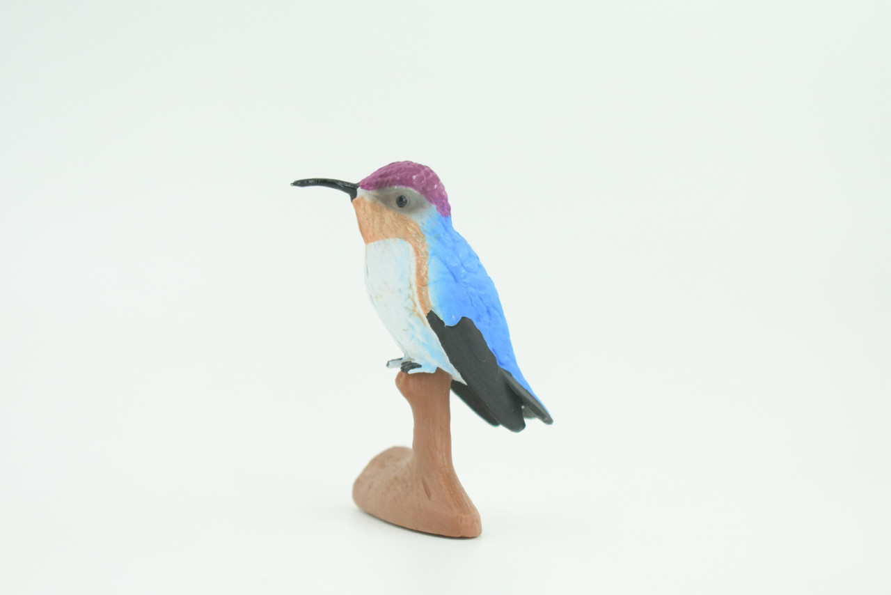 Hummingbird, Educational, Hand Painted, Museum Quality, Rubber Bird, Realistic, Diorama, Toy, Kids, Gift,  2 1/2 Inches.  CH747 BB184  