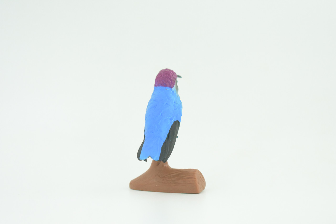 Hummingbird, Educational, Hand Painted, Museum Quality, Rubber Bird, Realistic, Diorama, Toy, Kids, Gift,  2 1/2 Inches.  CH747 BB184  
