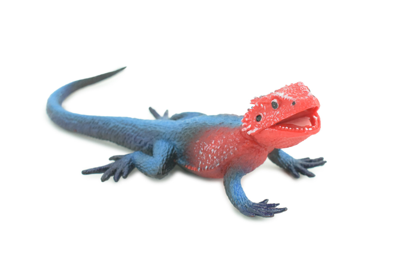 Flat Headed Rock Agama, Museum Quality, Educational, Hand Painted, Rubber Lizard, Realistic, Diorama, Toy, Kids, Gift, 9 Inches. CH749 BB183