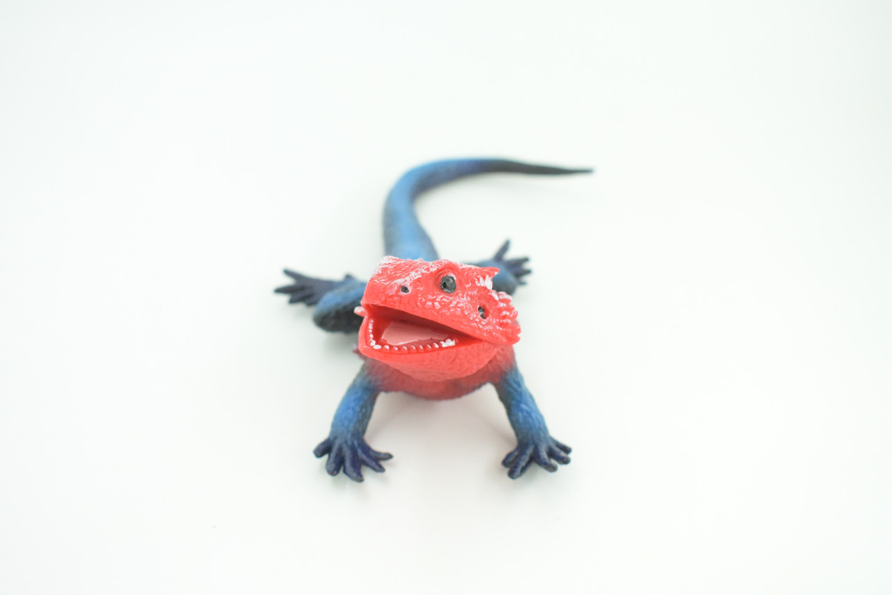 Flat Headed Rock Agama, Museum Quality, Educational, Hand Painted, Rubber Lizard, Realistic, Diorama, Toy, Kids, Gift,  9 Inches.  CH749 BB183