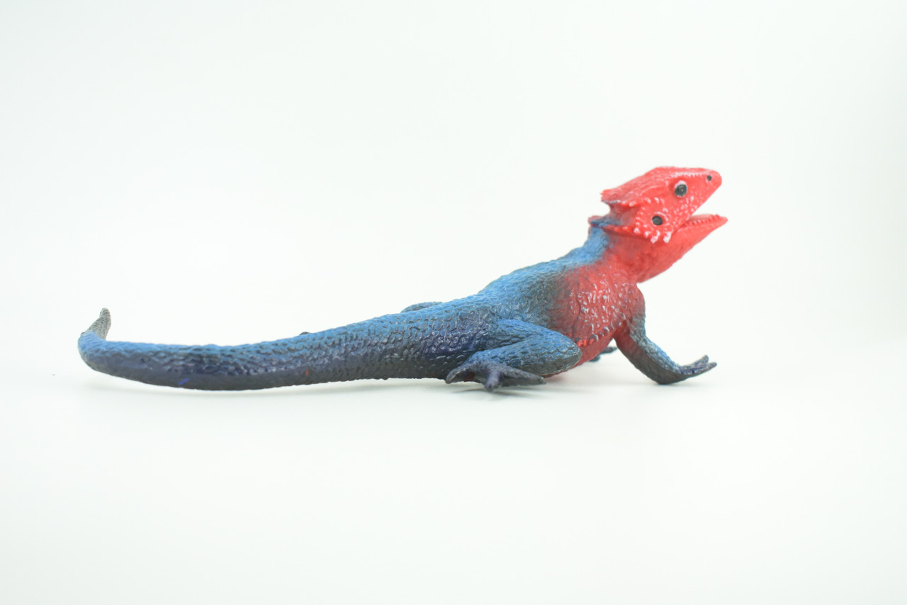 Flat Headed Rock Agama, Museum Quality, Educational, Hand Painted, Rubber Lizard, Realistic, Diorama, Toy, Kids, Gift,  9 Inches.  CH749 BB183