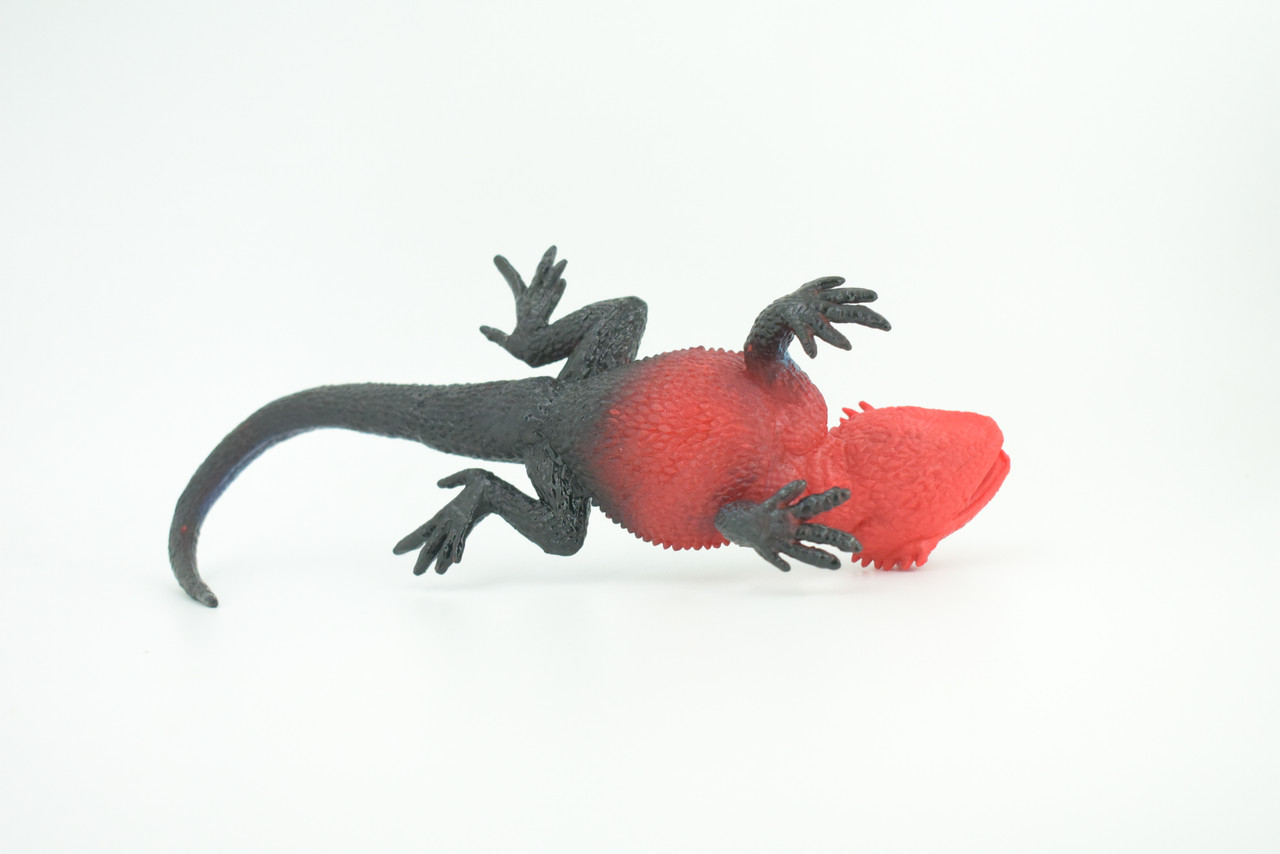 Flat Headed Rock Agama, Museum Quality, Educational, Hand Painted, Rubber Lizard, Realistic, Diorama, Toy, Kids, Gift,  9 Inches.  CH749 BB183