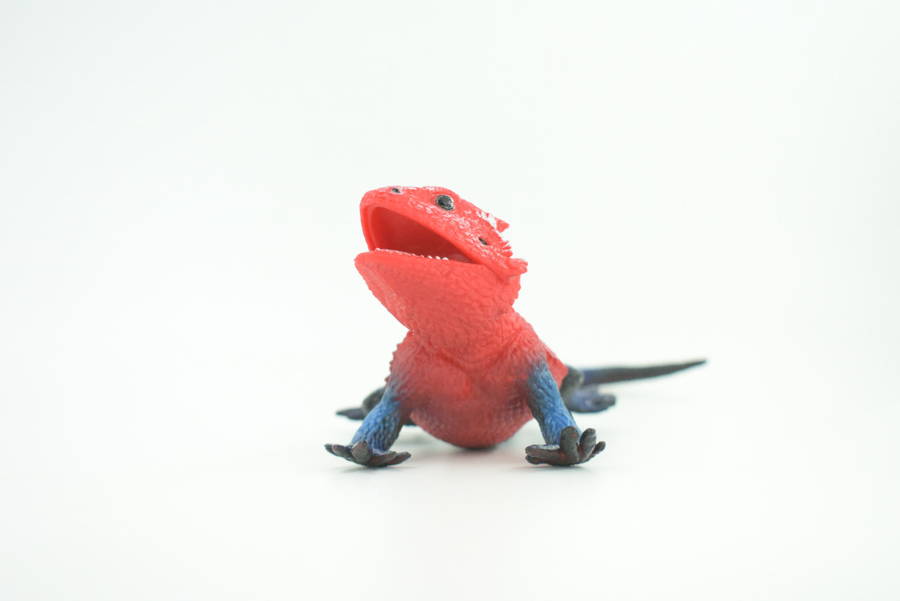 Flat Headed Rock Agama, Museum Quality, Educational, Hand Painted, Rubber Lizard, Realistic, Diorama, Toy, Kids, Gift,  9 Inches.  CH749 BB183