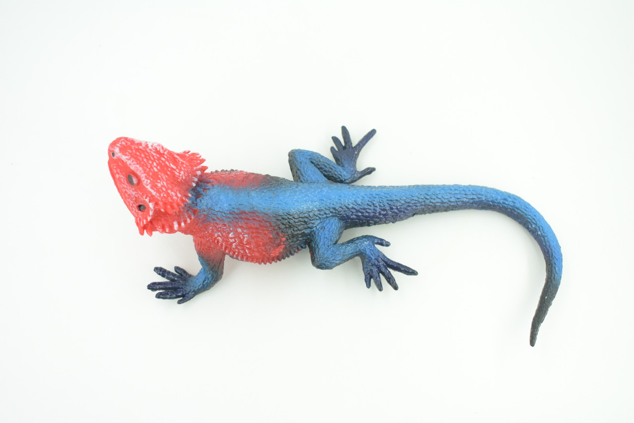 Flat Headed Rock Agama, Museum Quality, Educational, Hand Painted, Rubber Lizard, Realistic, Diorama, Toy, Kids, Gift,  9 Inches.  CH749 BB183