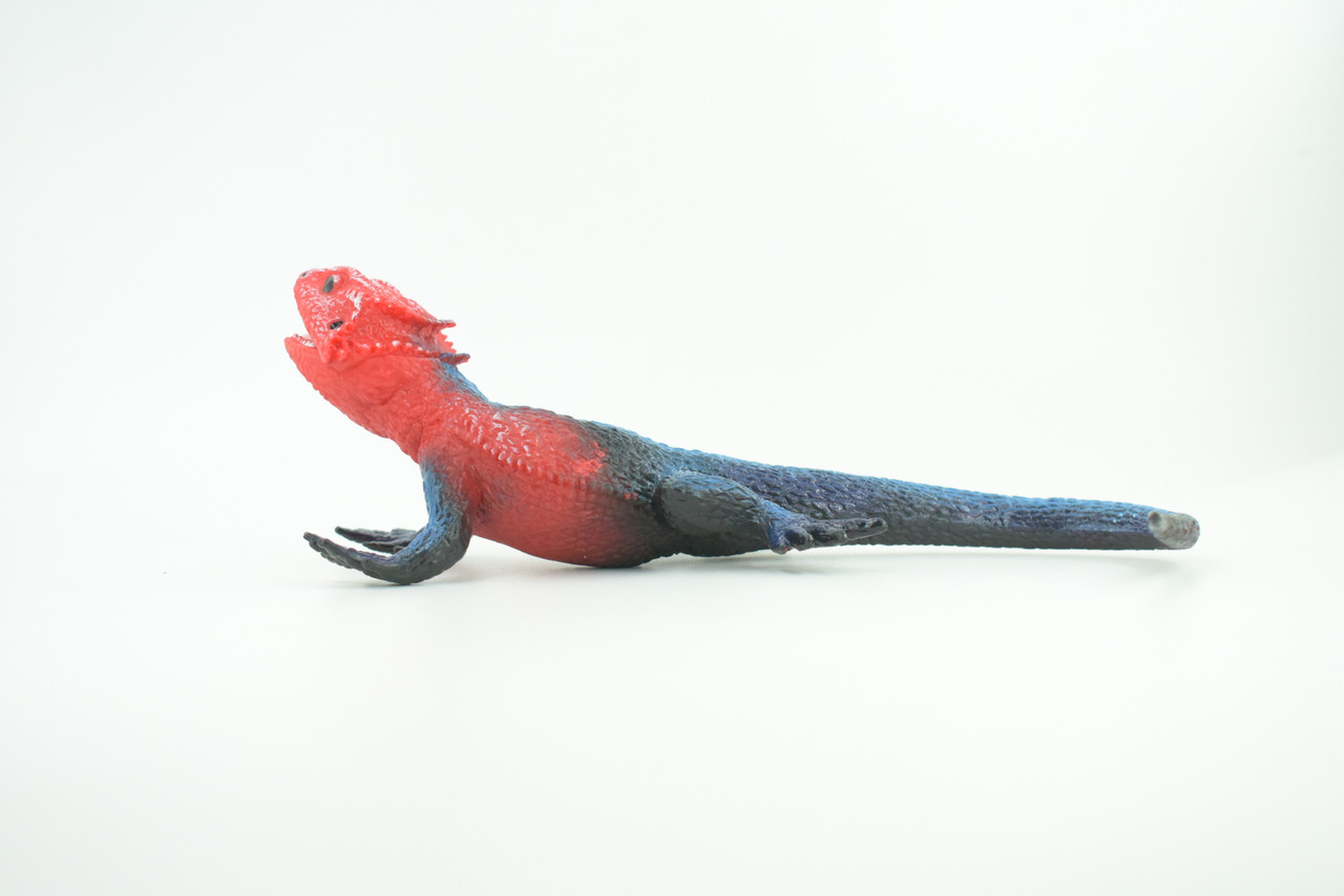 Flat Headed Rock Agama, Museum Quality, Educational, Hand Painted, Rubber Lizard, Realistic, Diorama, Toy, Kids, Gift,  9 Inches.  CH749 BB183