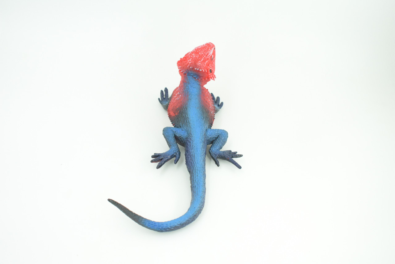 Flat Headed Rock Agama, Museum Quality, Educational, Hand Painted, Rubber Lizard, Realistic, Diorama, Toy, Kids, Gift,  9 Inches.  CH749 BB183