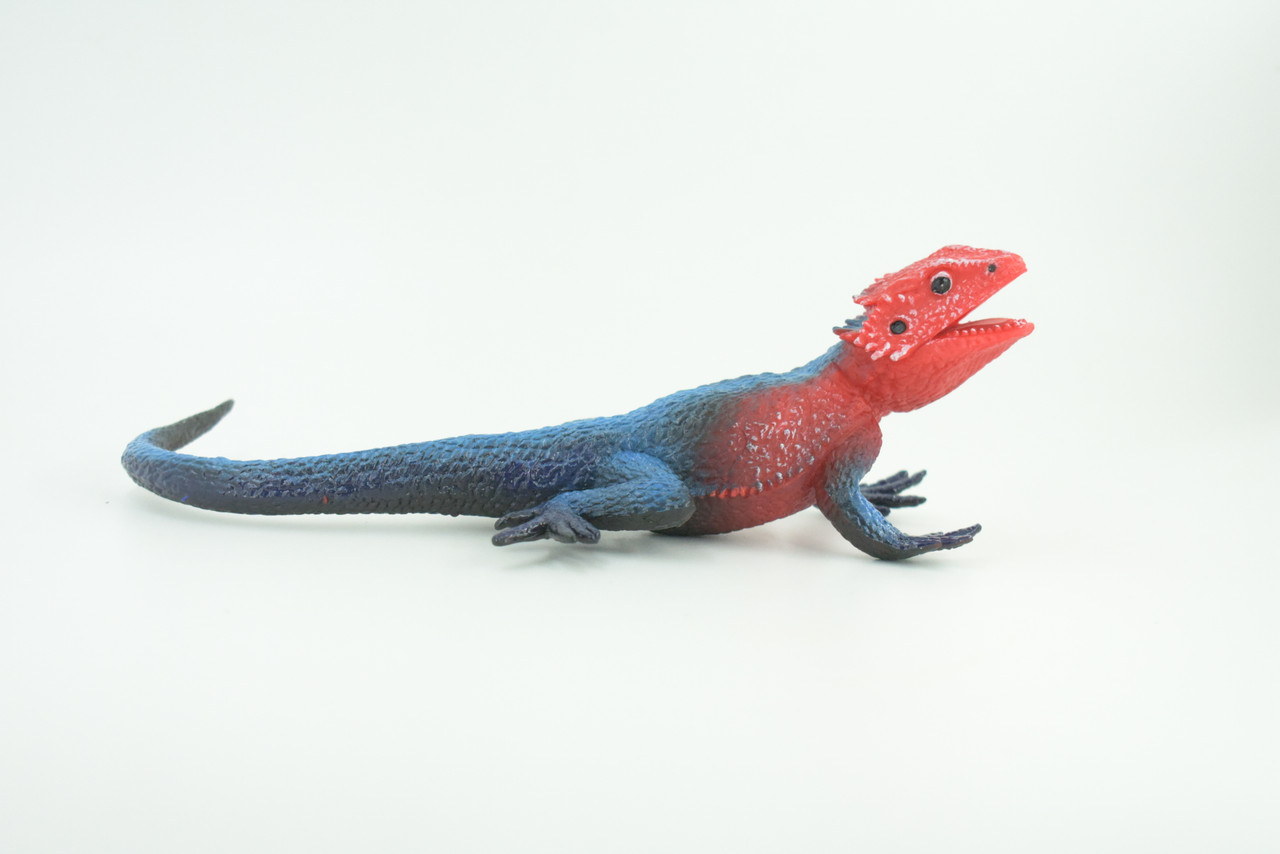 Flat Headed Rock Agama, Museum Quality, Educational, Hand Painted, Rubber Lizard, Realistic, Diorama, Toy, Kids, Gift,  9 Inches.  CH749 BB183