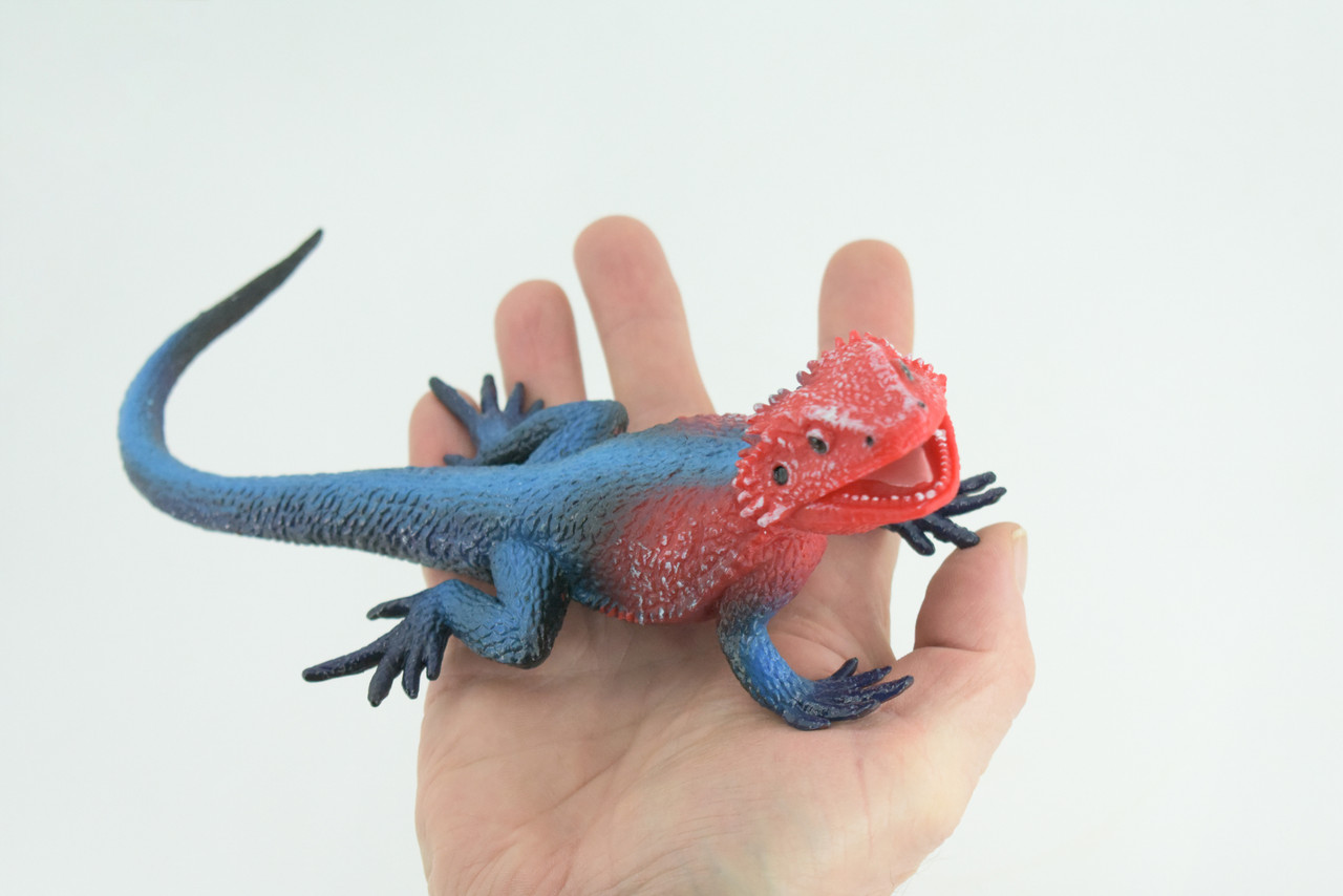 Flat Headed Rock Agama, Museum Quality, Educational, Hand Painted, Rubber Lizard, Realistic, Diorama, Toy, Kids, Gift, 9 Inches. CH749 BB183