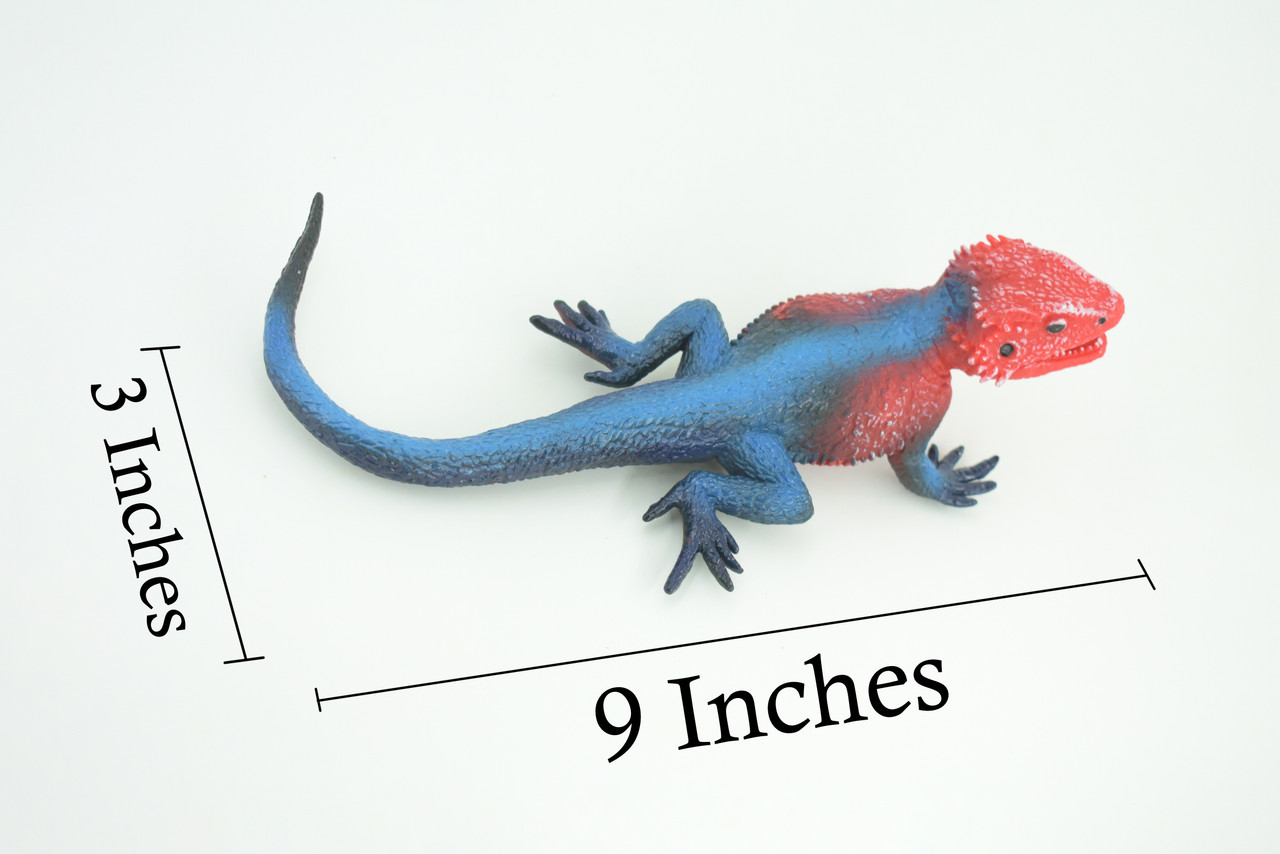 Flat Headed Rock Agama, Museum Quality, Educational, Hand Painted, Rubber Lizard, Realistic, Diorama, Toy, Kids, Gift, 9 Inches. CH749 BB183