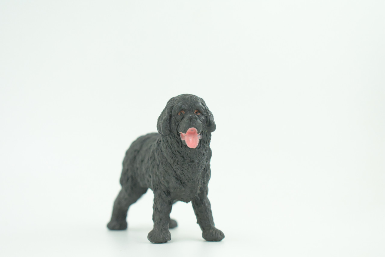 Newfoundland Dog, Rubber Canine, Hand Painted, Educational, Realistic, K9, Figure, Model, Replica, Toys, Kids, Gift,   4 Inches.  CH750 BB183