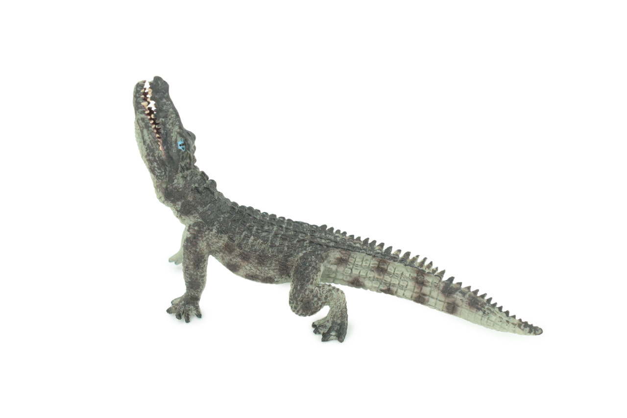 Crocodile, Museum Quality, Educational, Hand Painted, Rubber Reptile, Realistic, Diorama, Toy, Kids, Gift, 7 Inches. CH751 BB183