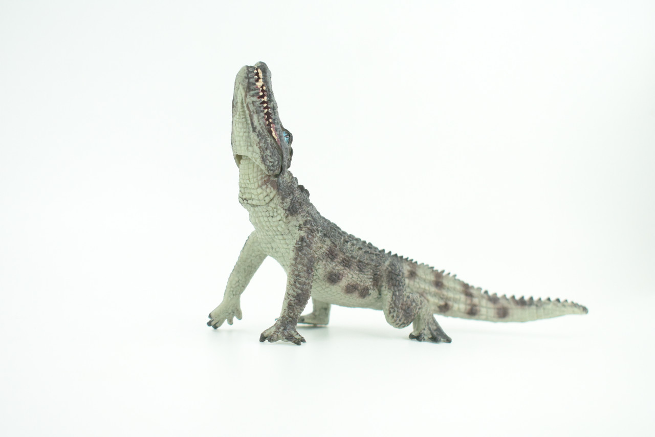 Crocodile, Museum Quality, Educational, Hand Painted, Rubber Reptile, Realistic, Diorama, Toy, Kids, Gift,  7 Inches.  CH751 BB183