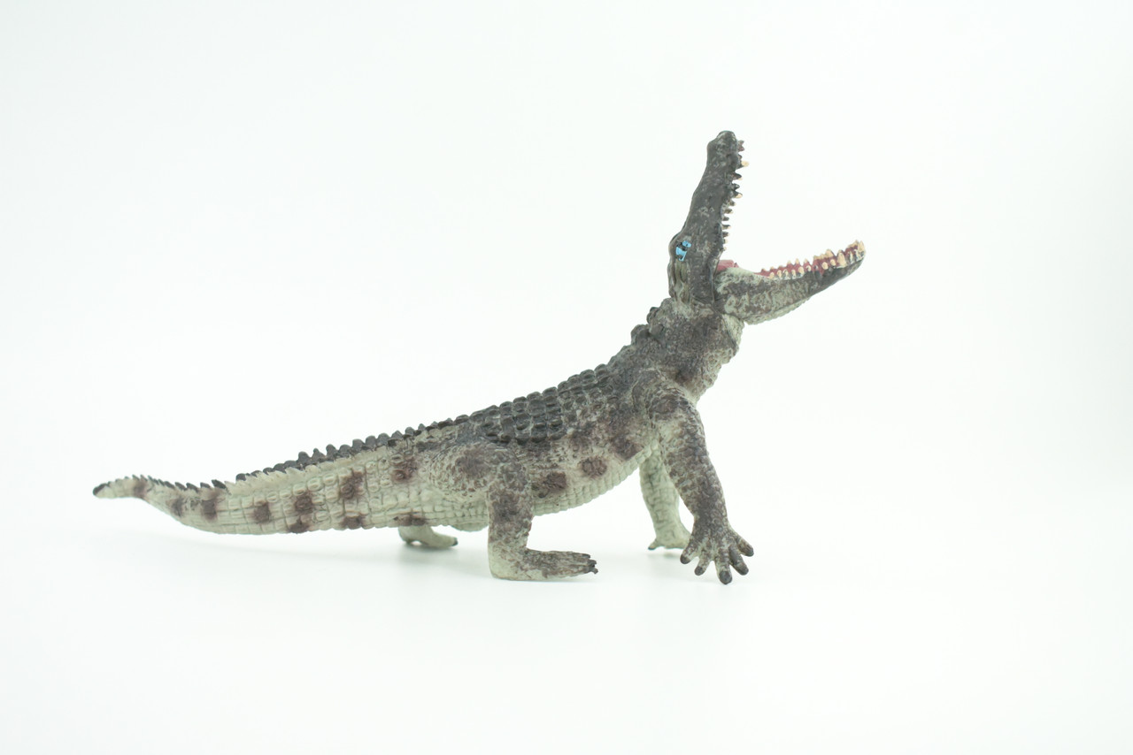 Crocodile, Museum Quality, Educational, Hand Painted, Rubber Reptile, Realistic, Diorama, Toy, Kids, Gift,  7 Inches.  CH751 BB183