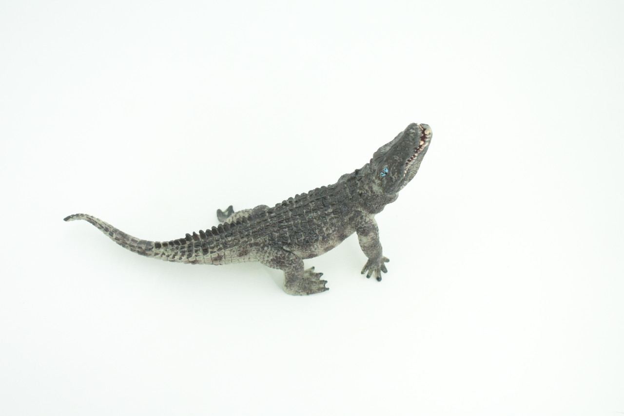 Crocodile, Museum Quality, Educational, Hand Painted, Rubber Reptile, Realistic, Diorama, Toy, Kids, Gift,  7 Inches.  CH751 BB183