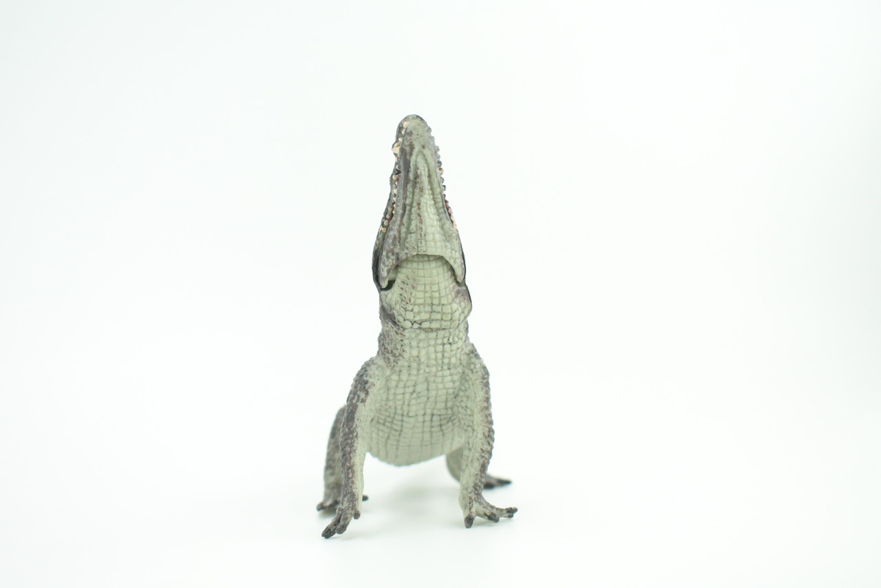 Crocodile, Museum Quality, Educational, Hand Painted, Rubber Reptile, Realistic, Diorama, Toy, Kids, Gift,  7 Inches.  CH751 BB183