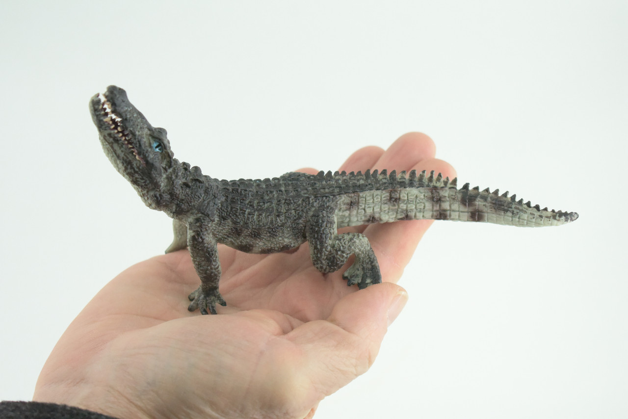 Crocodile, Museum Quality, Educational, Hand Painted, Rubber Reptile, Realistic, Diorama, Toy, Kids, Gift, 7 Inches. CH751 BB183