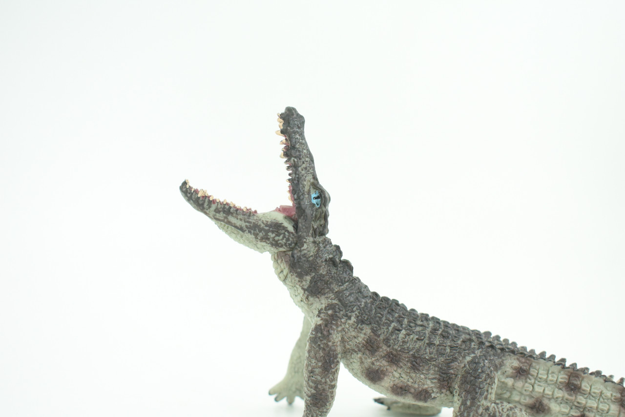 Crocodile, Museum Quality, Educational, Hand Painted, Rubber Reptile, Realistic, Diorama, Toy, Kids, Gift,  7 Inches.  CH751 BB183