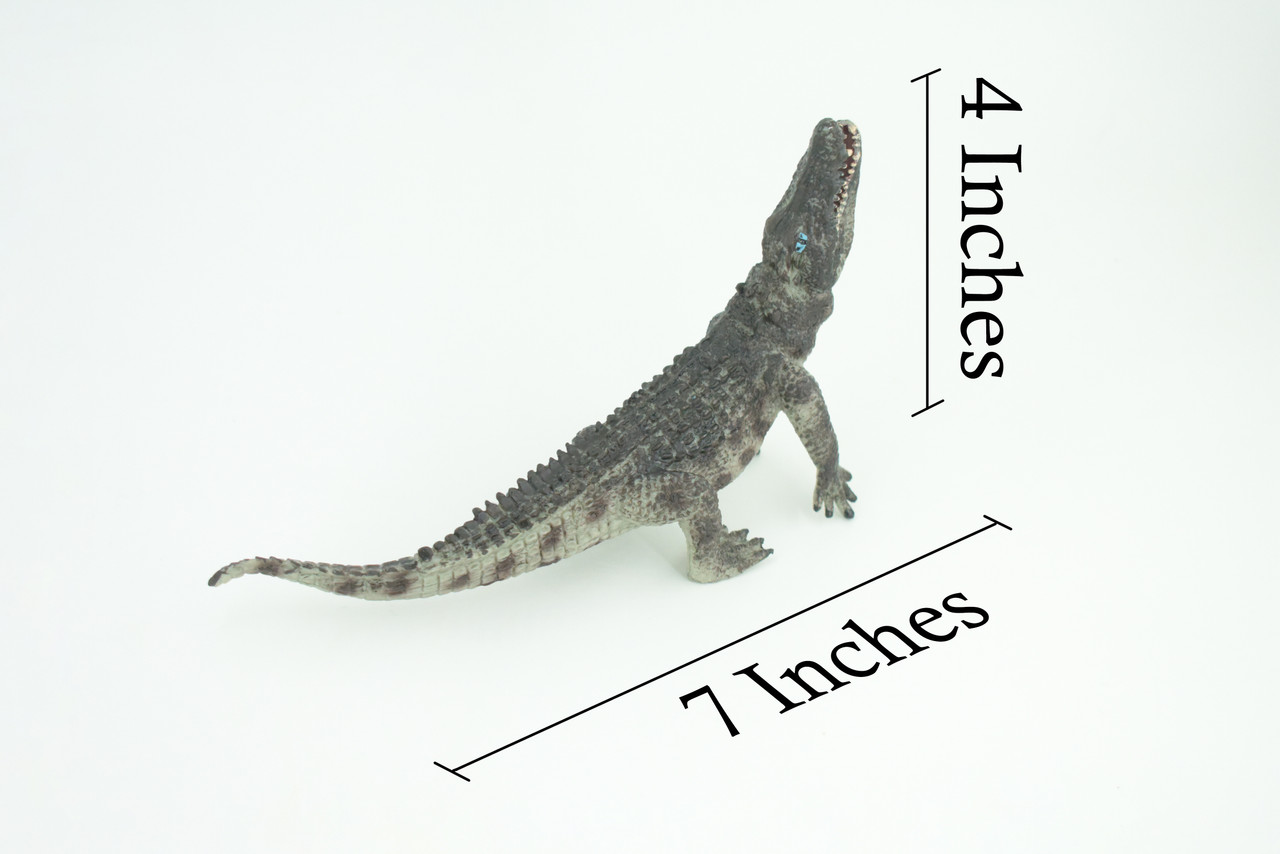 Crocodile, Museum Quality, Educational, Hand Painted, Rubber Reptile, Realistic, Diorama, Toy, Kids, Gift, 7 Inches. CH751 BB183
