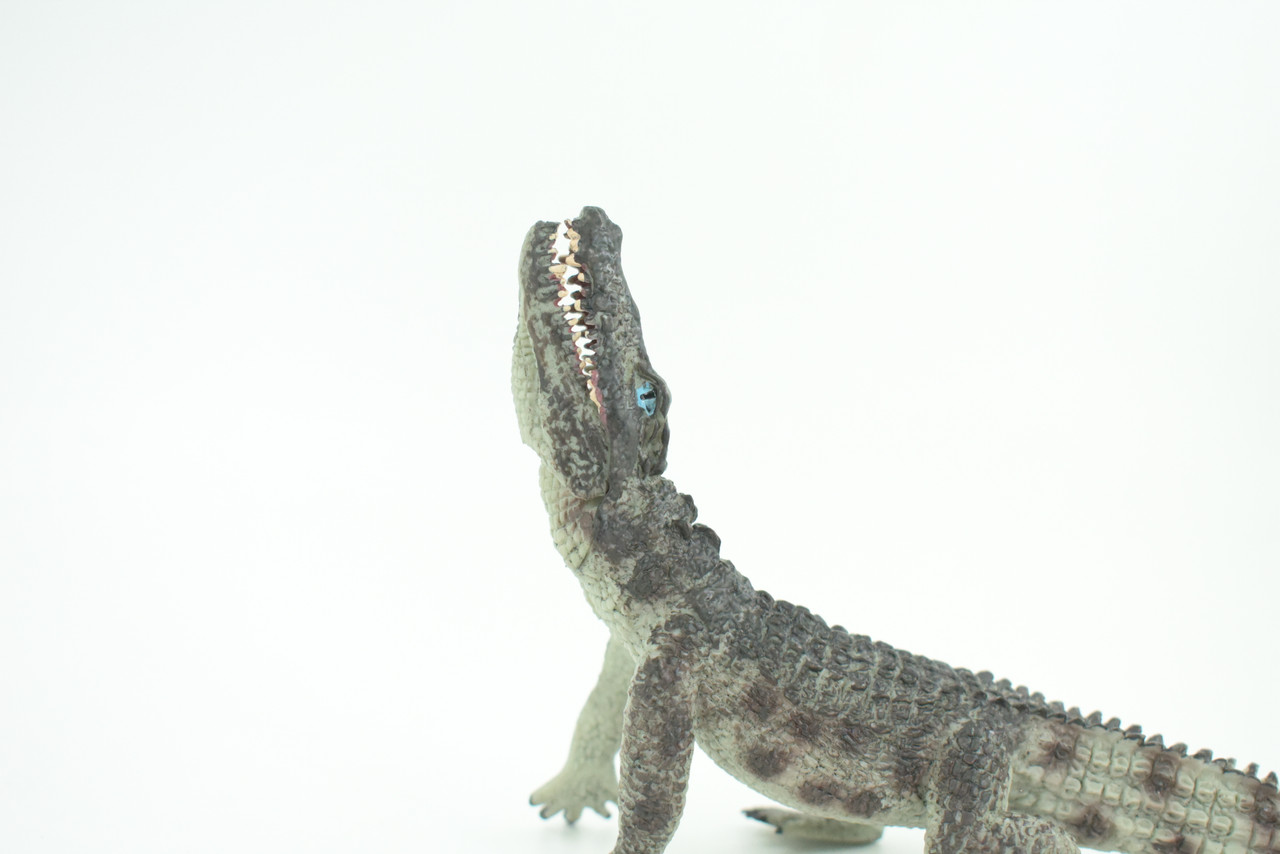 Crocodile, Museum Quality, Educational, Hand Painted, Rubber Reptile, Realistic, Diorama, Toy, Kids, Gift,  7 Inches.  CH751 BB183