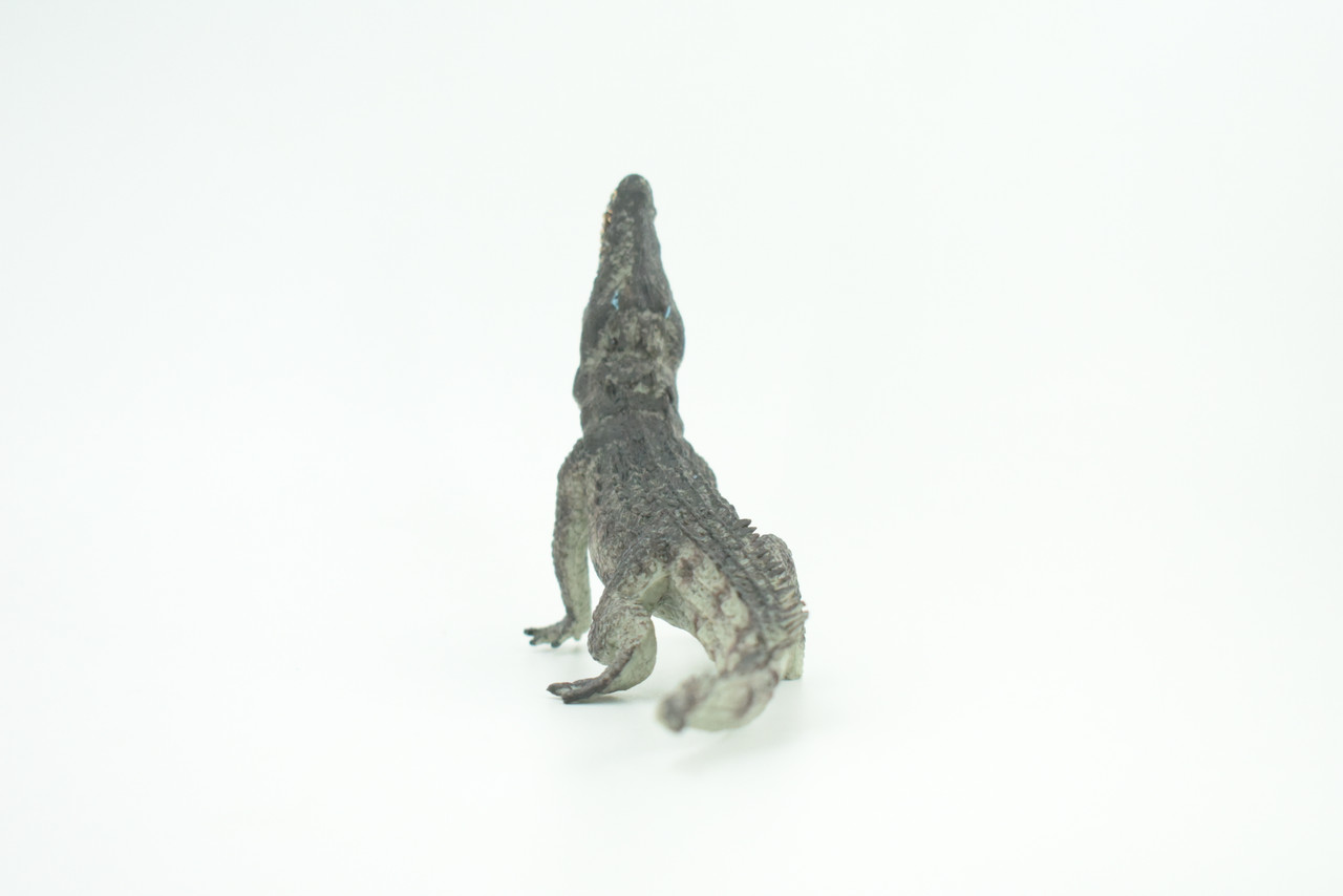 Crocodile, Museum Quality, Educational, Hand Painted, Rubber Reptile, Realistic, Diorama, Toy, Kids, Gift,  7 Inches.  CH751 BB183