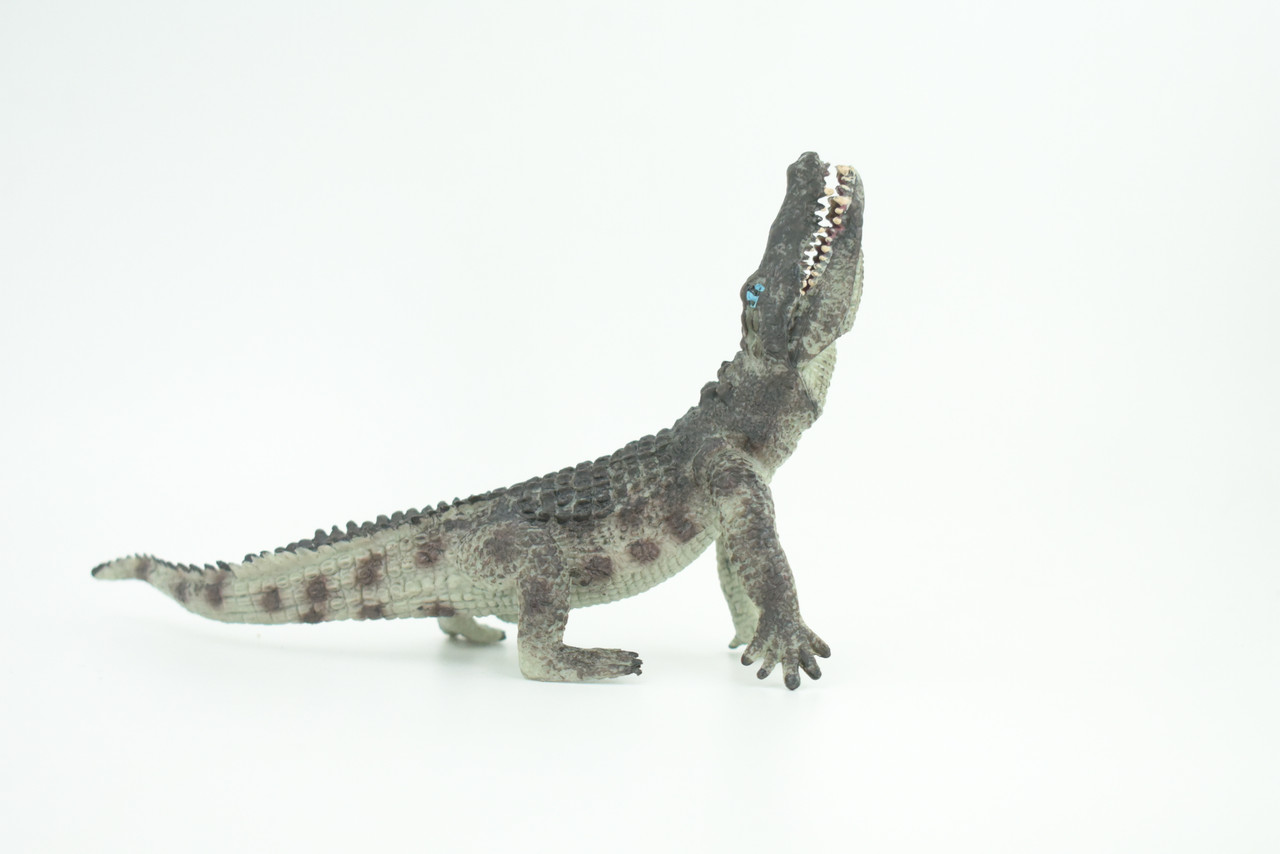 Crocodile, Museum Quality, Educational, Hand Painted, Rubber Reptile, Realistic, Diorama, Toy, Kids, Gift,  7 Inches.  CH751 BB183