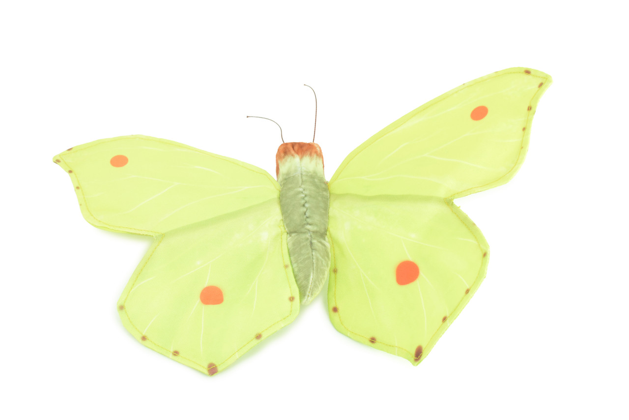 Common Brimstone Butterfly, Finger Puppet, Very Nice Plush, Insect, Realistic, Educational, Toy, Kids, Gift, 15 Inches. WR35 BB317