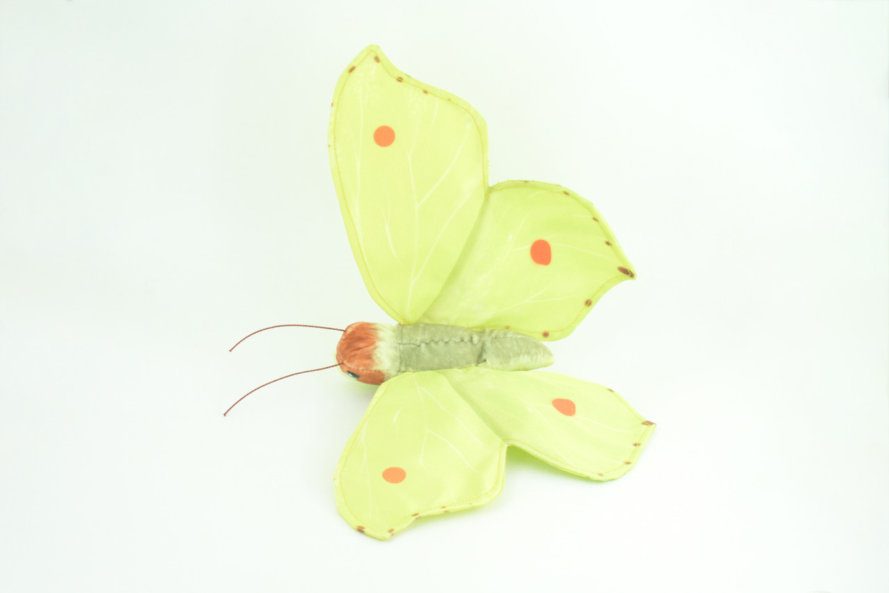 Common Brimstone Butterfly, Finger Puppet, Very Nice Plush, Insect, Realistic, Educational, Toy, Kids, Gift,   15 Inches. WR35 BB317