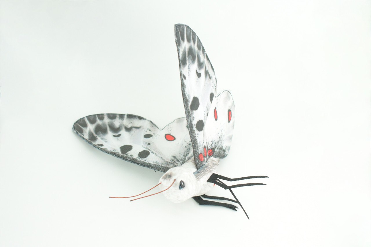 Apollo Butterfly, Finger Puppet, Very Nice Plush, Insect, Realistic, Educational, Toy, Kids, Gift,   15 Inches. WR36 BB317