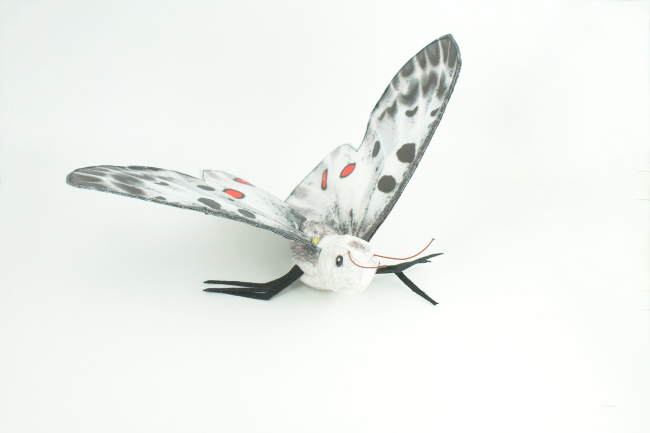 Apollo Butterfly, Finger Puppet, Very Nice Plush, Insect, Realistic, Educational, Toy, Kids, Gift,   15 Inches. WR36 BB317