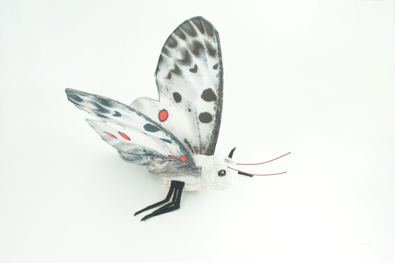 Apollo Butterfly, Finger Puppet, Very Nice Plush, Insect, Realistic, Educational, Toy, Kids, Gift,   15 Inches. WR36 BB317