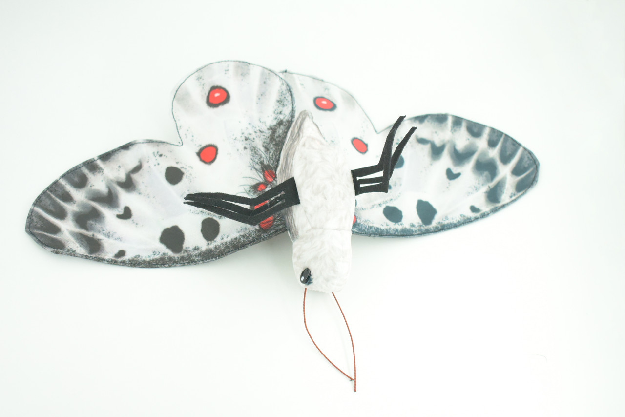 Apollo Butterfly, Finger Puppet, Very Nice Plush, Insect, Realistic, Educational, Toy, Kids, Gift,   15 Inches. WR36 BB317