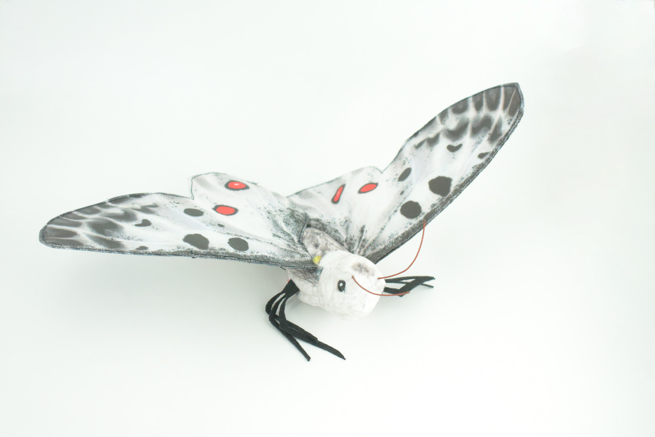 Apollo Butterfly, Finger Puppet, Very Nice Plush, Insect, Realistic, Educational, Toy, Kids, Gift,   15 Inches. WR36 BB317