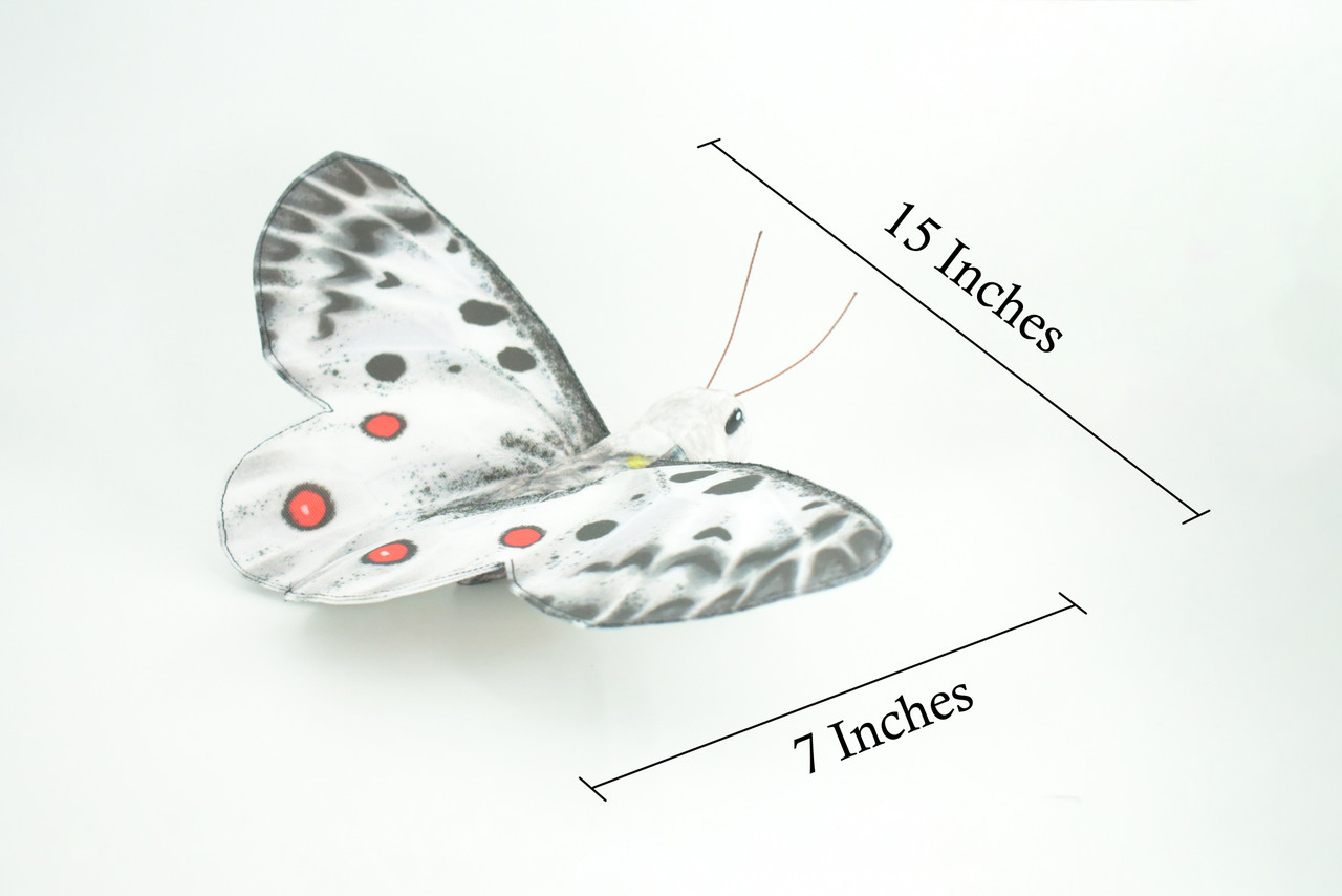 Apollo Butterfly, Finger Puppet, Very Nice Plush, Insect, Realistic, Educational, Toy, Kids, Gift, 15 Inches. WR36 BB317