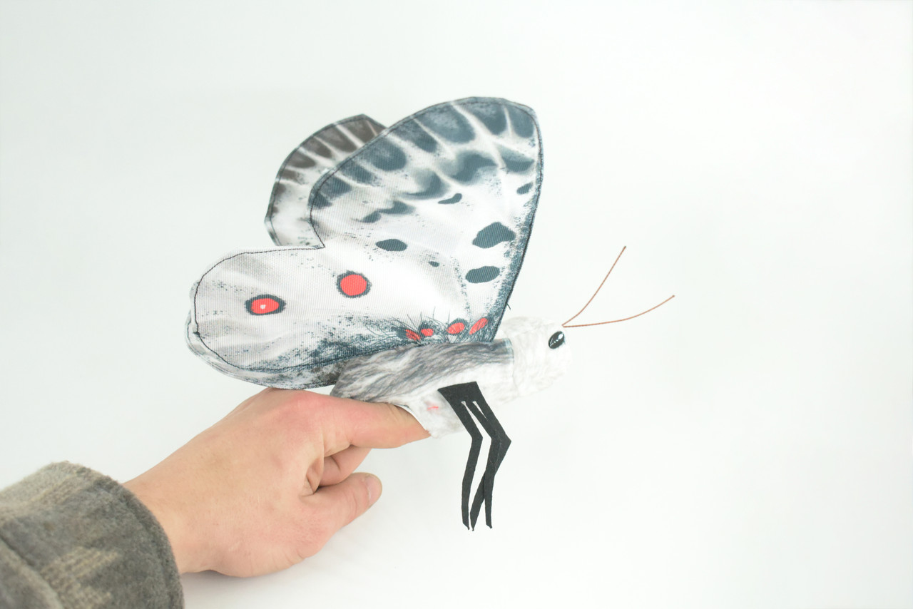 Apollo Butterfly, Finger Puppet, Very Nice Plush, Insect, Realistic, Educational, Toy, Kids, Gift, 15 Inches. WR36 BB317