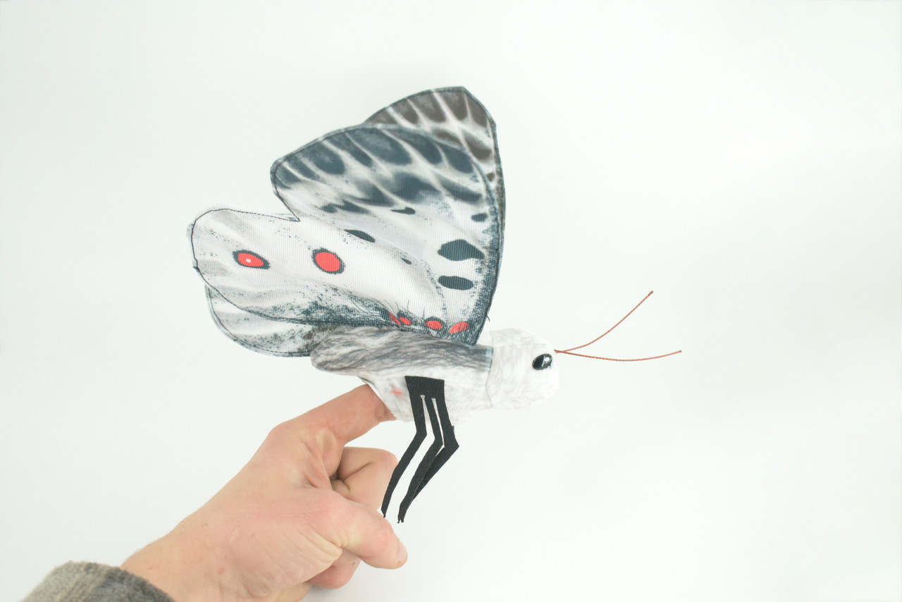Apollo Butterfly, Finger Puppet, Very Nice Plush, Insect, Realistic, Educational, Toy, Kids, Gift,   15 Inches. WR36 BB317