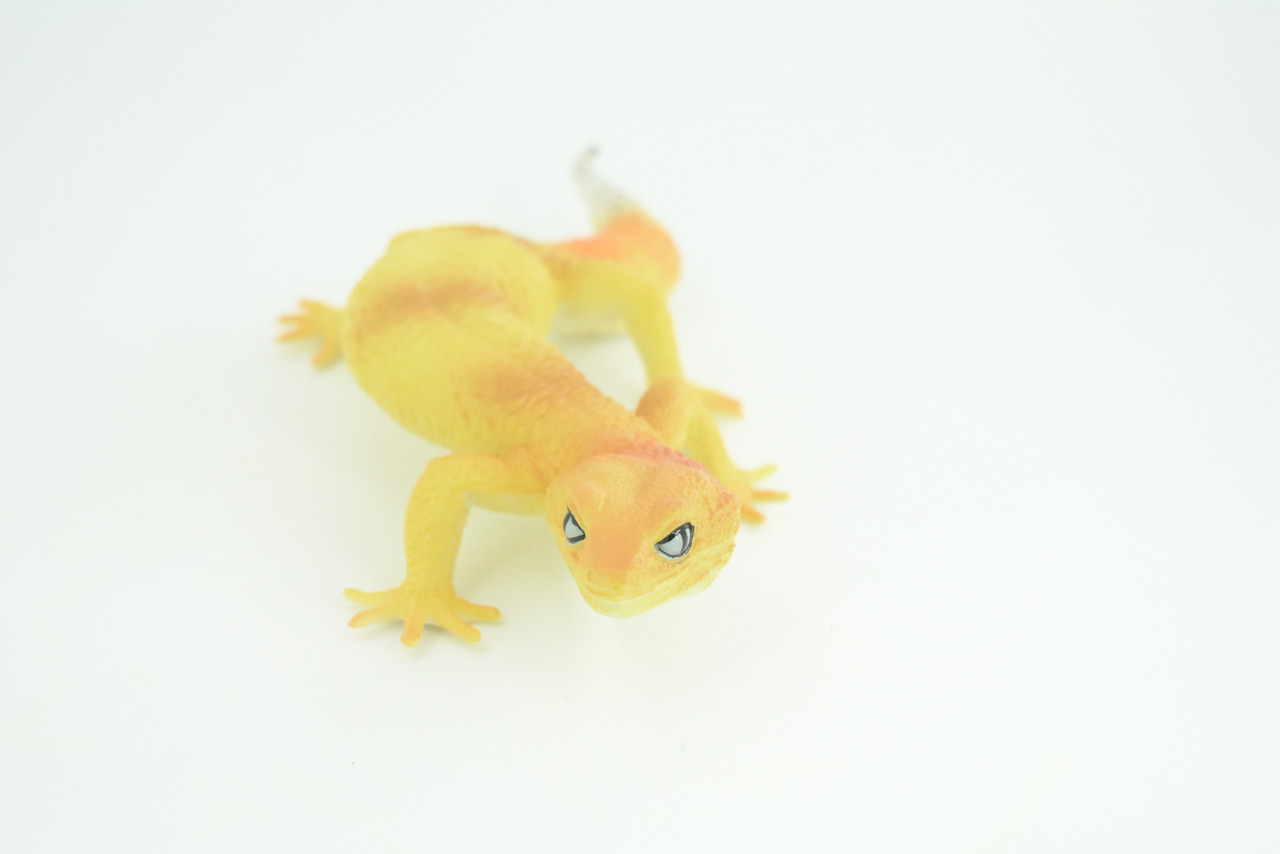 Gecko, Southeast Asia Lizard, Museum Quality, Educational, Hand Painted, Rubber Reptile, Diorama, Toy, Kids, Gift,  7 Inches.  CH754 BB190