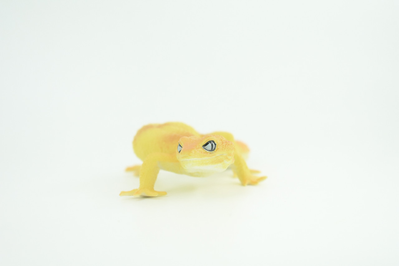 Gecko, Southeast Asia Lizard, Museum Quality, Educational, Hand Painted, Rubber Reptile, Diorama, Toy, Kids, Gift,  7 Inches.  CH754 BB190