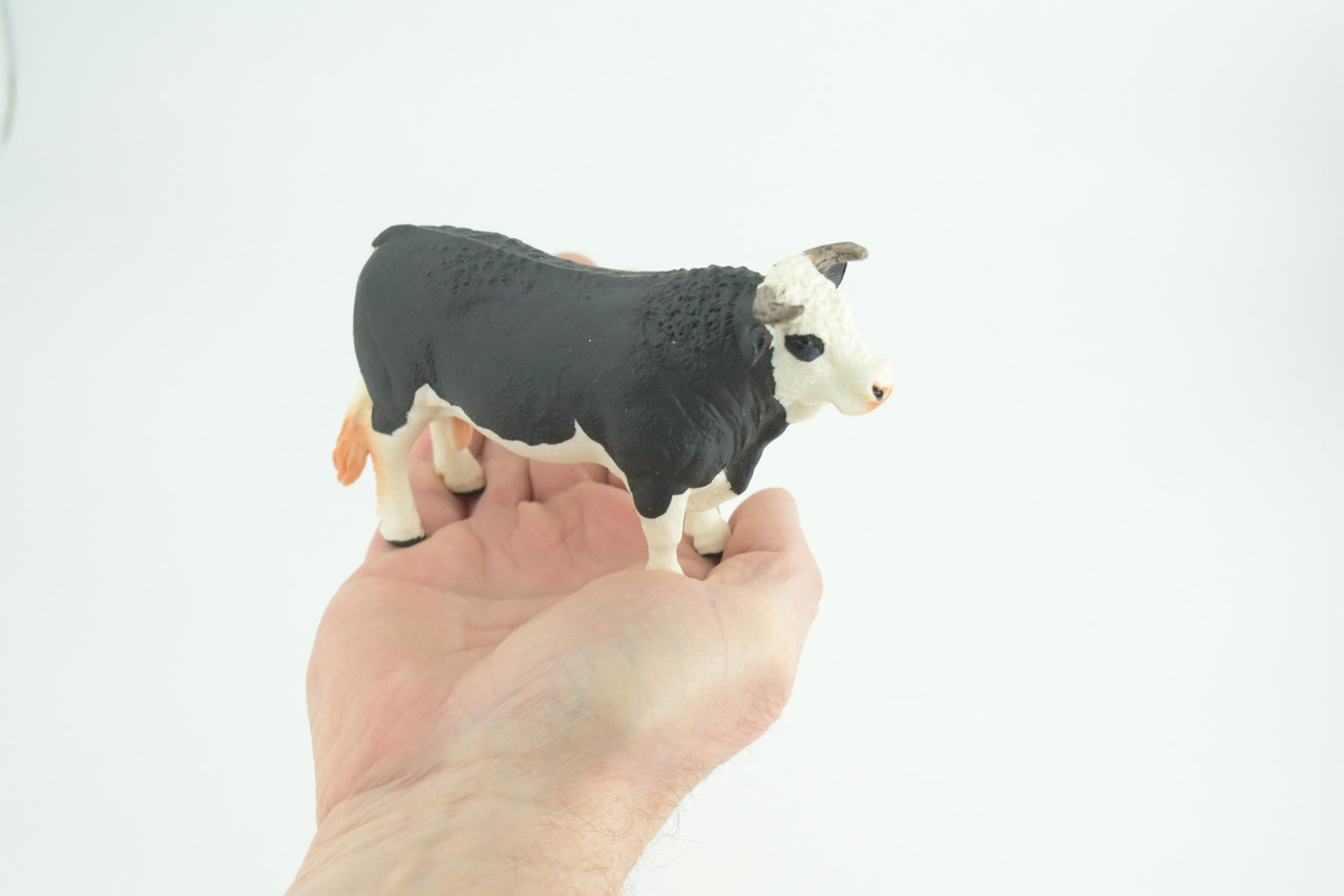 Bull, Cattle Bovidae, Museum Quality, Hand Painted, Educational, Rubber, Realistic Cow, Figure, Toys, Kids, Gift, 5 Inches. CH758 BB190