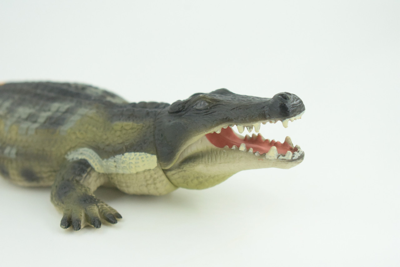 Saltwater Crocodile, Movable Jaws, Museum Quality, Educational, Hand Painted, Rubber Reptile, Realistic, Diorama, Toy, Kids, Gift, 10 Inches.  CH760 BB191