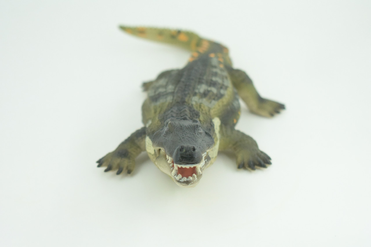 Saltwater Crocodile, Movable Jaws, Museum Quality, Educational, Hand Painted, Rubber Reptile, Realistic, Diorama, Toy, Kids, Gift, 10 Inches.  CH760 BB191