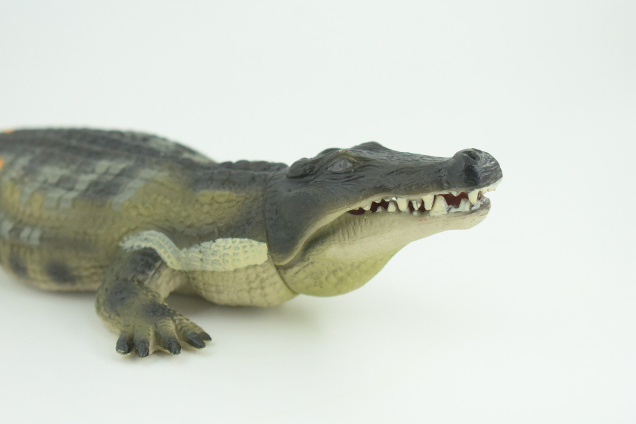 Saltwater Crocodile, Movable Jaws, Museum Quality, Educational, Hand Painted, Rubber Reptile, Realistic, Diorama, Toy, Kids, Gift, 10 Inches.  CH760 BB191