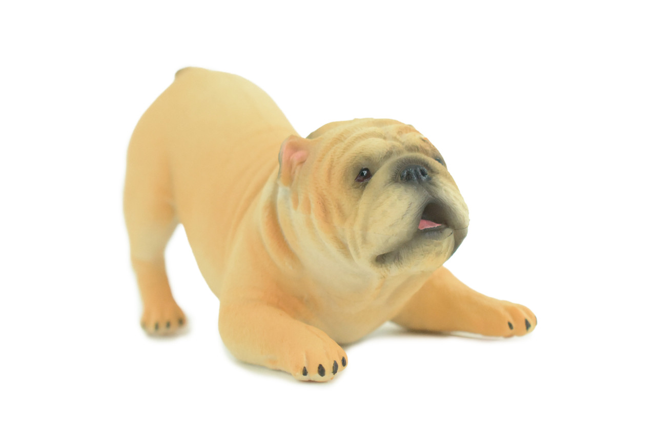 English Bulldog, Museum Quality, Hand Painted, Educational, Rubber Canine, Realistic, K9, Figure, Toys, Kids, Gift, 4 Inches. CH761 BB191
