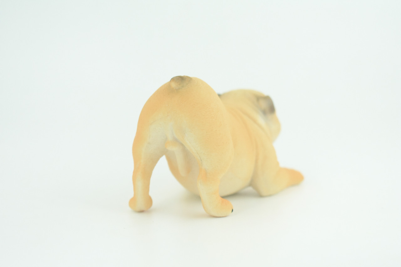 English Bulldog, Museum Quality, Hand Painted, Educational, Rubber Canine, Realistic, K9, Figure, Toys, Kids, Gift,   4 Inches.  CH761 BB191