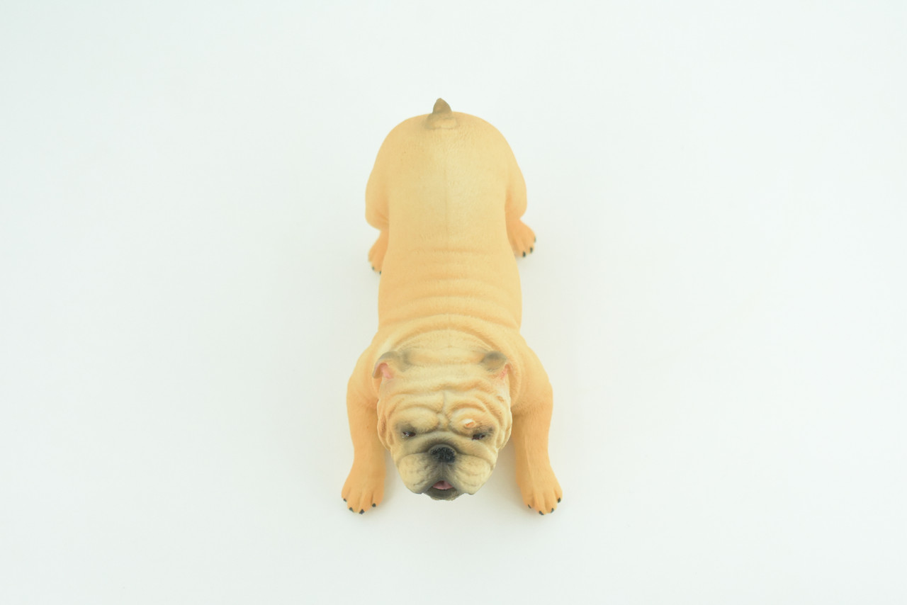 English Bulldog, Museum Quality, Hand Painted, Educational, Rubber Canine, Realistic, K9, Figure, Toys, Kids, Gift,   4 Inches.  CH761 BB191