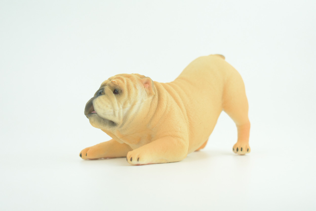 English Bulldog, Museum Quality, Hand Painted, Educational, Rubber Canine, Realistic, K9, Figure, Toys, Kids, Gift,   4 Inches.  CH761 BB191