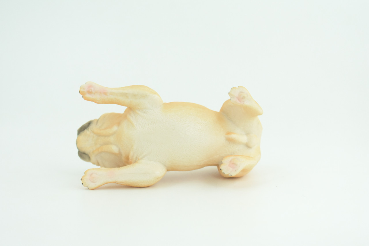 English Bulldog, Museum Quality, Hand Painted, Educational, Rubber Canine, Realistic, K9, Figure, Toys, Kids, Gift,   4 Inches.  CH761 BB191