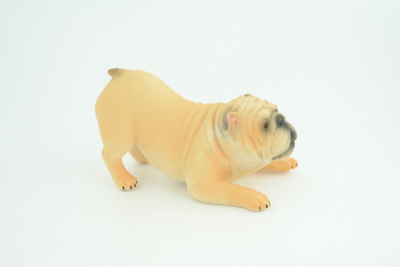 English Bulldog, Museum Quality, Hand Painted, Educational, Rubber Canine, Realistic, K9, Figure, Toys, Kids, Gift,   4 Inches.  CH761 BB191